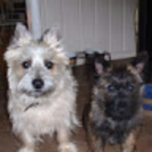 Meet your Posher, Cheryll